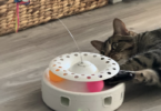 3-in-1 Automatic Interactive Kitten Toy, cat gifts for cat lovers